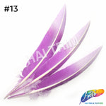 10-12" 2-tone Spray Painted Cut Turkey Quills (Sold Per Piece)