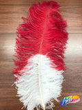 19-22" 2-tone Ostrich Plumes