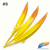 10-12" 2-tone Spray Painted Cut Turkey Quills (Sold Per Piece)