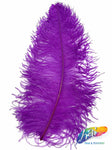 18-22" Ostrich Plumes