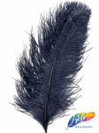 18-22" Ostrich Plumes