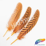 6-8" Silver Pheasant Quills (Sold Per Piece)