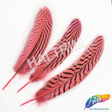 6-8" Silver Pheasant Quills (Sold Per Piece)