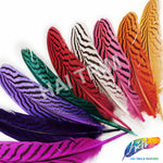 6-8" Silver Pheasant Quills (Sold Per Piece)