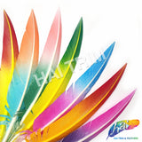 10-12" 2-tone Spray Painted Cut Turkey Quills (Sold Per Piece)