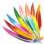 10-12" 2-tone Spray Painted Cut Turkey Quills (Sold Per Piece)