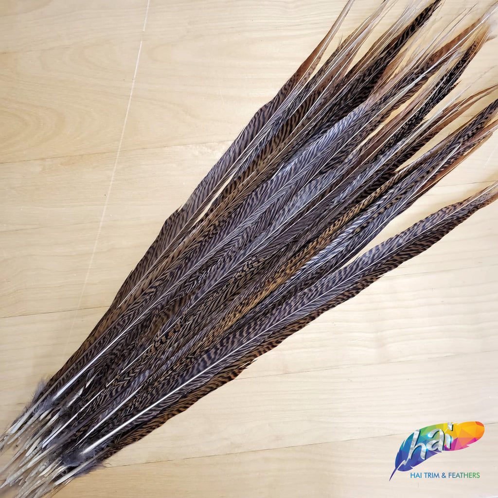 Ringneck Pheasant Feathers 20-22 inches - Purchase Pheasant Feathers