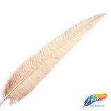 18-20" Bleached Dyed Ostrich Nandu