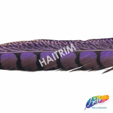 Lady Amherst Pheasant Feathers, Dyed Over Natural, 30-36 inch, per 5 p –  Schuman Feathers